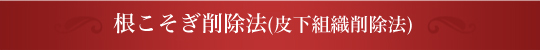 皮下組織削除法